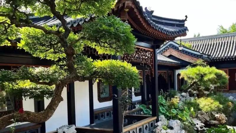 CBA季后赛对阵怎么产生？从常规赛排名到总决赛的完整路径